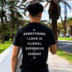 Everything I Love - Ginger