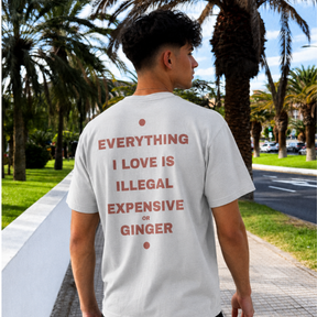 Everything I Love - Ginger